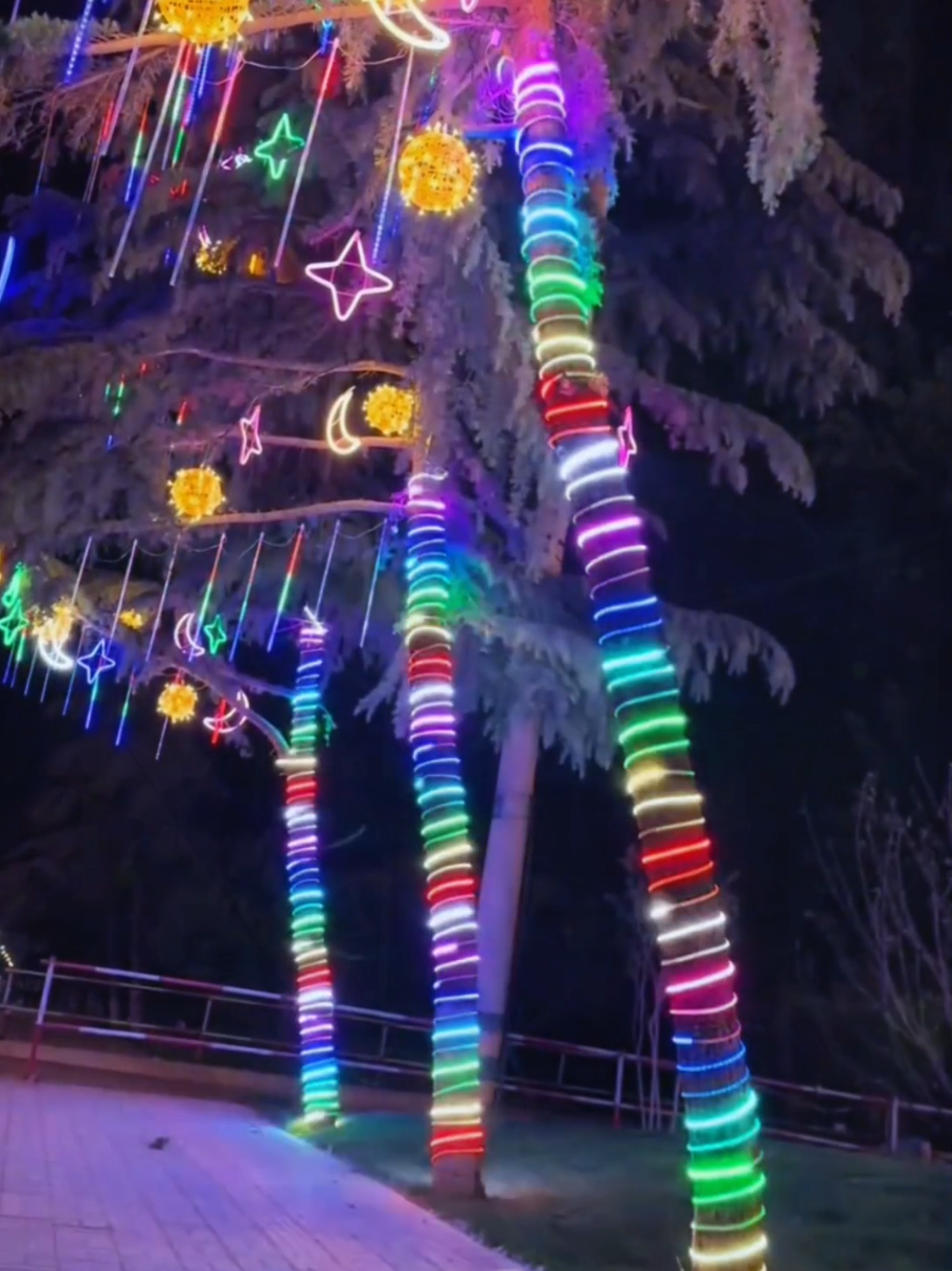 Inplay Bluetooth LED Strip Lights Music Sync RGB Color Changing 600 LEDs20M USB Power 12V Dimmable Timer Remote Control APP Control for BedroomTV Room DIY Decor## atmosphere light # colorful lamp # led light belt # decorative light RGB magic light belt # good stuff sharing #fyp #foryou #tiktok #goodthing 