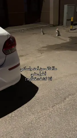 #الشعب_الصيني_ماله_حل😂😂 #fyppppppppppppppppppppppp #fypシ゚viralシ 