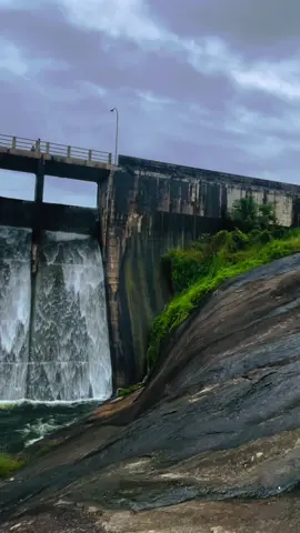 ඒක ඇත්ත බන්😱#foryoupage #trending #viralvideo #fyp #information 