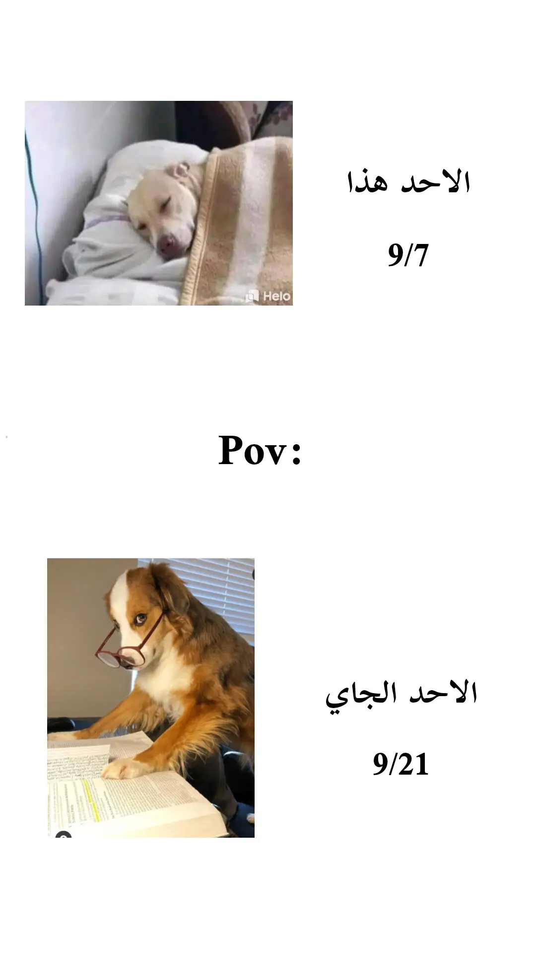 #الثالث_متوسط #طلاب_الجامعات #طلاب_الثالث_متوسط #fyp #دراسه 