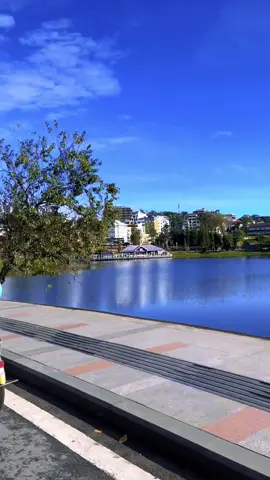 Dạo Hồ Xuân Hương vào sáng sớm, thưởng thức cái lạnh, không khí và mùi cây cỏ quanh hồ, quá là chill 🥰 #đàlạt  #hoxuanhuongdalat 