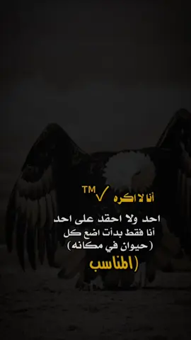 #عبارات_فخمه🎶 تصميم _فديوهات_🎤🎶 عبارات_فخمه_وقويه_😉🖤 تصميم _@دولــ𝄠ــه↡إب𓆰𓆩²⁰²⁵