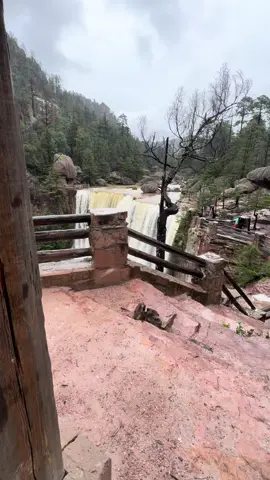 Así luce la cascada de Cusarara el día de hoy 5 de septiembre del 2025 #cuu #creel #travel #fyp #nature 