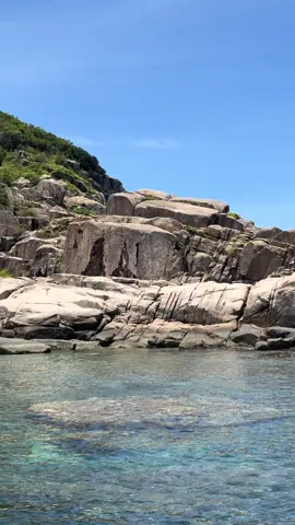 Nước trong vắt #travel #Summer #beachvibes #phúyên #vietnam 