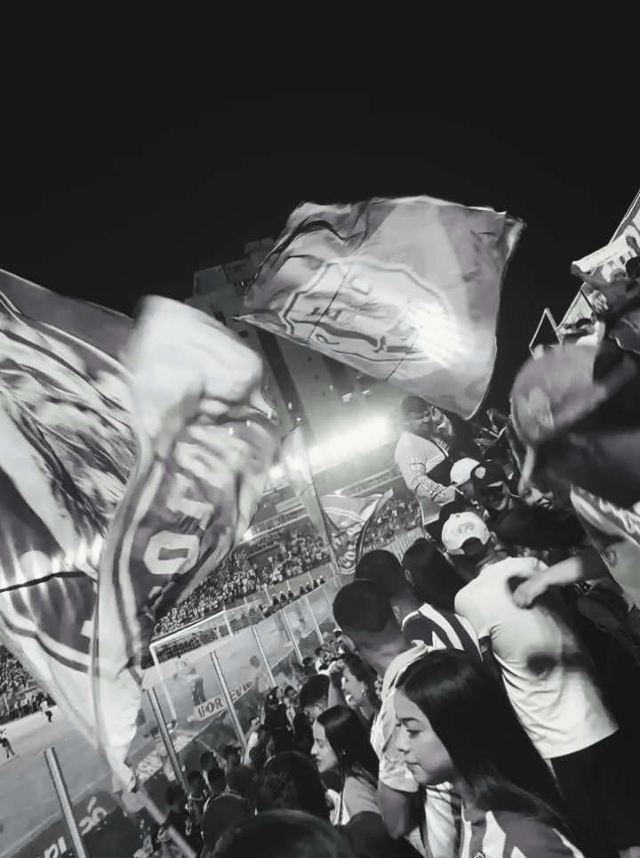 enquanto existir o Paysandu vai ter terror ! ❤️‍🩹 #paysandu #seriec #terrorbicolor💀💙 #ladob 
