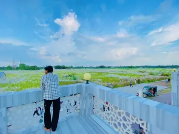 লাং নিয়ে কবে যাচ্ছেন কাশফুলে.?🌸❤️‍🩹#foryou #vairalvideo #bangaldesh🇧🇩 