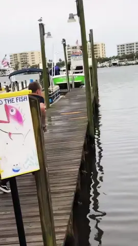 Failed dive#funnyvideos #usa_tiktok #funnytiktok #diving 