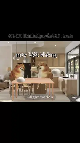 riêng ông truM nhá cre:âm thanh :Nguyễn Chí Thanh #memes #xuhuong #kygaubong #cheems 