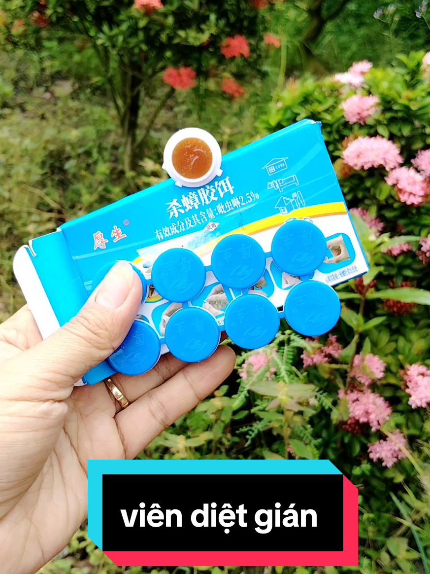 Trả lời @user2245779671350 viên diệt gián Sinh học không độc hại #viendietgian #uocduoclenxuhuong #uoc100donmoingay 