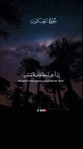 Mind relaxing quran tilawat surah Ankbut(verses 56-57) #quran #islamic_video #QuranRecitation #surahankaboot #spreadislam 