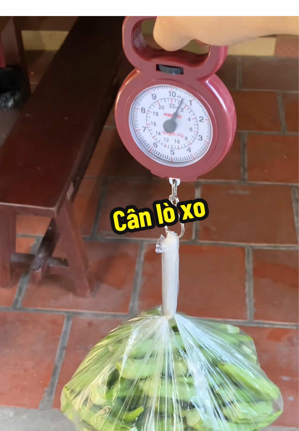 Đi chợ mua đồ, mang theo cân này là ko lo thiếu cân. 57🐠 nhỏ gọn bỏ túi #canloxo #cancamtaymini 