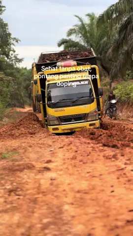 Iy