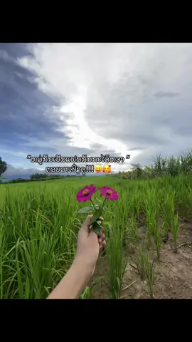 ມາຕອບເບີ່ງດຸ😊#ท้องฟ้า⛅🌈 #เธรดเพลง #เธรดความรู้สึก #เธรดความรู้สึกในใจ #fyppppppppppppppppppppppp @TikTok @tiktok Tips 