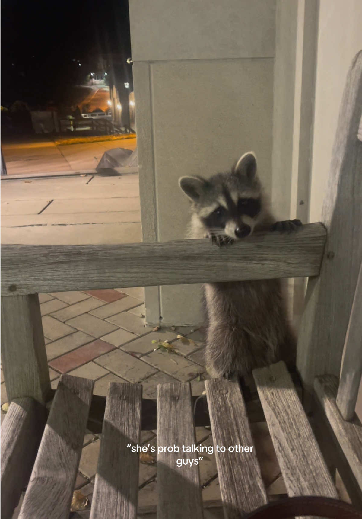 my new friend 