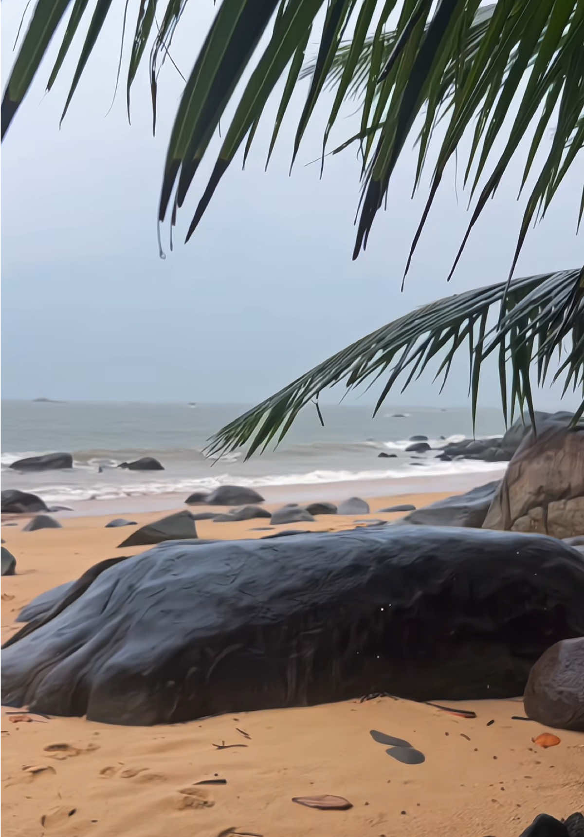 ยังเก็บรักนั้นอยู่ในหัวใจ #ธรรมชาติบําบัด #ฮิลใจ #ภูเขา #bridgehillcafe💚🤍 #สุราษฎร์ธานี 