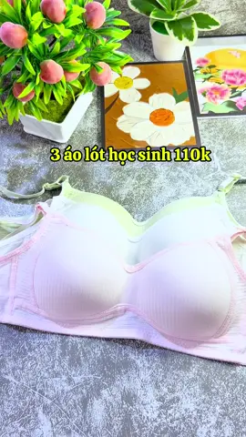 Combo 3 áo lót lá học sinh 110k #emchintaphoa #xuhuong #xh #aolot 