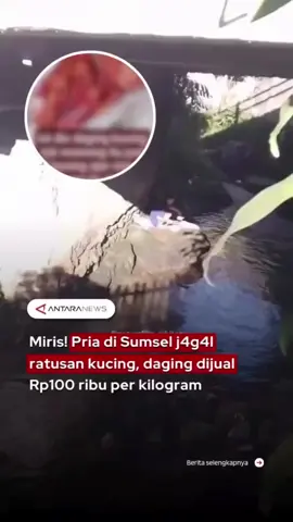Miris! Pria di Sumsel jagal ratusan kucing, daging dijual Rp100 ribu per kilogram. Selanjutnya baca di sini..!!! https://www.instagram.com/reel/DOOgGmDEkEp/?igsh=MWltNjZ2cmI2eHFkNw== #antara.jambi #lkbnantara #antaranews #kucing  #sumsel     