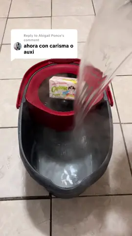 Replying to @Abigail Ponce Tenía que probar el jabon Carisma nunca lo había olido y huele tan bien que todavía lo puedo oler😍🤤. Tambien la limpieza esta agregada por eso el video esta un poco largo😫. También quería agradecerles  por llegar a 2000 seguidores, mil gracias por apoyarme🙏🏻🫶🏻. Espero que sigan disfrutando de mi contenido 🥰🫧. Hay gente que no le gusta, y está bien, eso no me detendrá🙂‍↕️. Recuerden ser siempre amables y Dios los ama🙏🏻❤️. #moppingfloors #foryou #barsoap #sudsycleaning #asmrsounds 