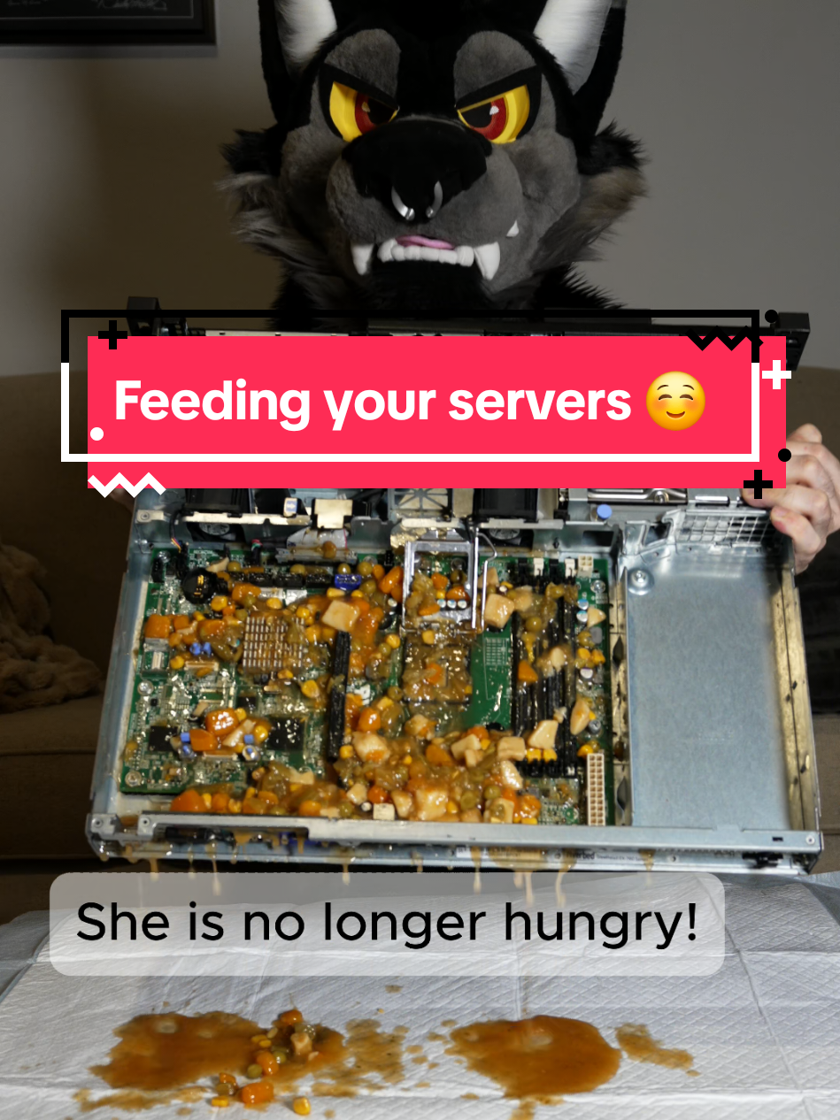 How to feed your suzz (server huzz). Some times Dell PowerEDGE servers get hungry after the edging they do, make sure to feed them to keep them happy ☺️. They love veggies and chimken. #furry #fursuit #serverhuzz #server #techtok