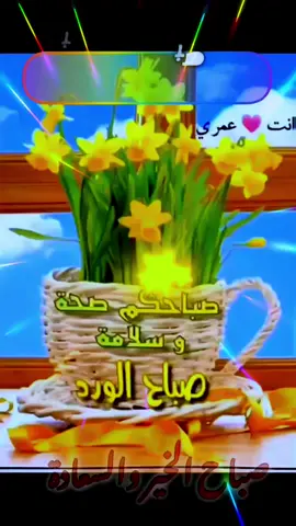 #دعاء #يوم #السبت #صباحكم_معطر_بذكر_الله💚🌹🌿🌷😍🌸🙏 #🤲🤲🕋🕋🤲🤲 