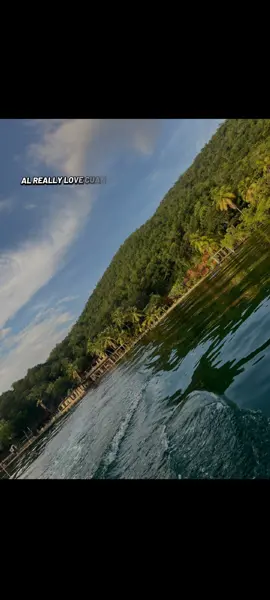 #LIVEIncentiveProgram #MyLIVEJourney #PaidPartnership 