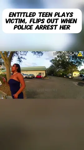 #cops #copstiktok #police #audit #fyp 