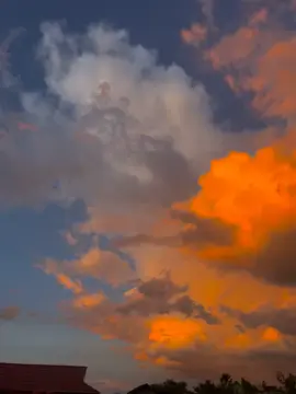 Nature love it😍❤️#viral♾️🦋 #lionalkrishna #articmonkeys #Viral #creatorsearchinsights 