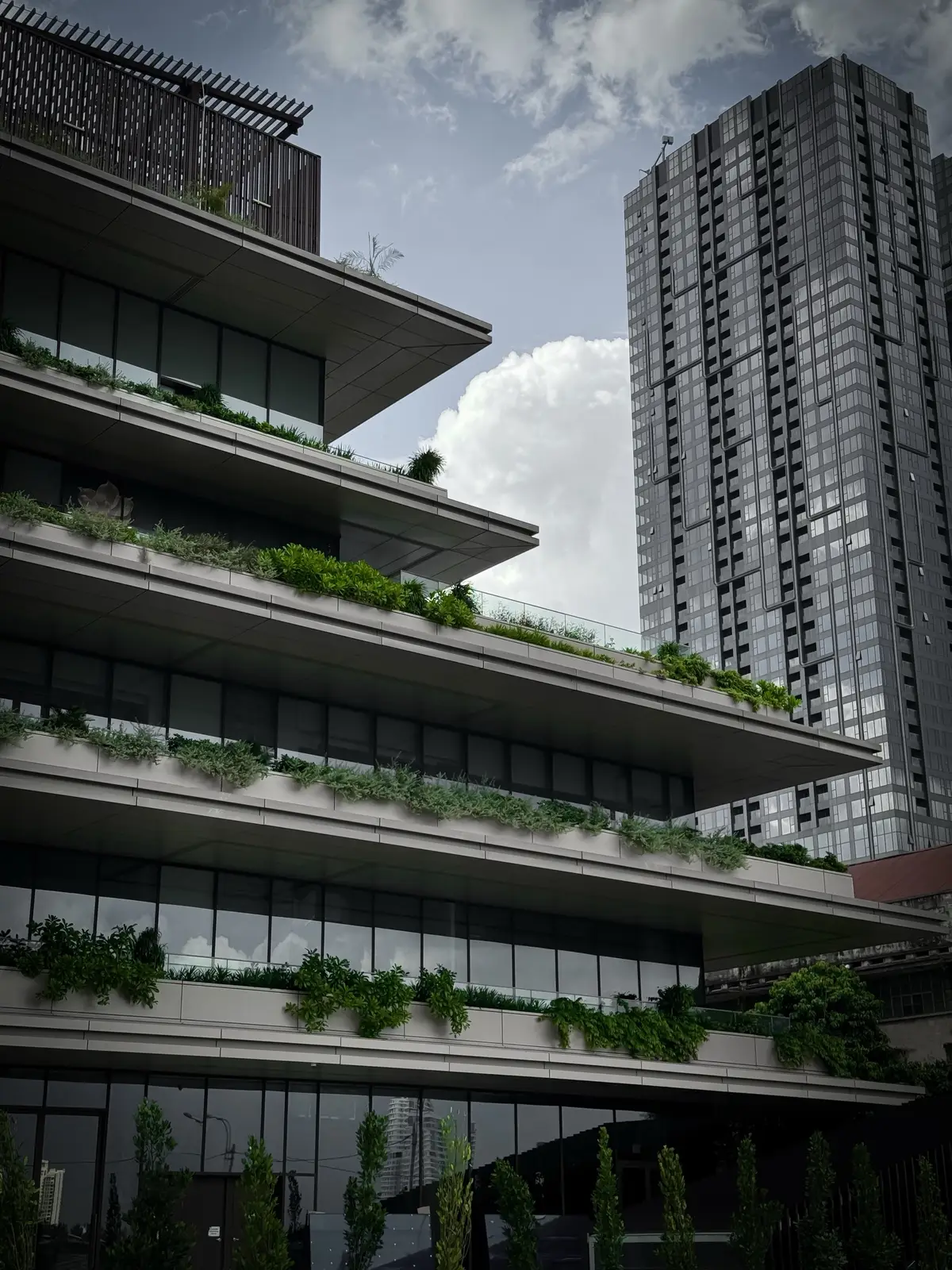 #fyp #outfit #viral #xh #luannemayni✨ 