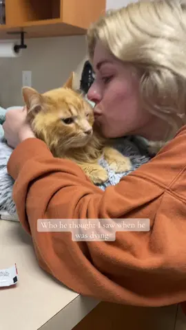 I’ve been keeping this heavy secret cause making this video is one I thought I couldn’t make and thought I wouldn’t have to make for many years, sadly I had to make the decision to let my best buddy go on may 24th due to a fatal condition called Feline Arterial Thromboembolism (FATE), often caused by Hypertrophic Cardiomyopathy (HCM) also known as saddle thrombus. (a clot in his heart moved to his back legs paralyzing him, I can tell more of his last moments when it’s not to close to home, I don’t like being sad on camera) He was only 7 and brought the TikTok cat lover community a lot of joy since 2019, I know my mom is happy to have her first grand kitty with her in heaven. I miss you everyday greeting me at the door after work and asking for uppies and wake up calls for breakfast even if it was at 5 am on my days off. In your seven years you spread joy to so many people and hopefully will live on forever through the internet for generations to see your purrrrfect self.  love you Theo, hope they have wetfood up there cause you deserve a endless supply🧡 in the first clip he can tell he’s on camera to give one last show for his fans, lookin right at you !