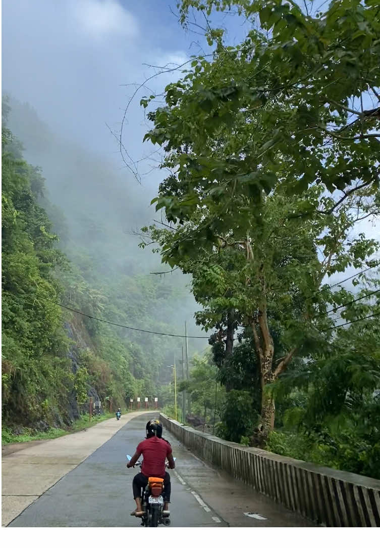 I don’t know why but mountain roads gives me a different kind of comfort🍃⛰️ #manipisroad #manipisroadcebu 