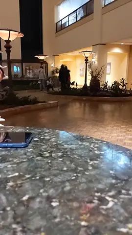 POV: you're people watching at Tails and Tornados 2025 #fyp #ttfc #tulsa #fypシ 