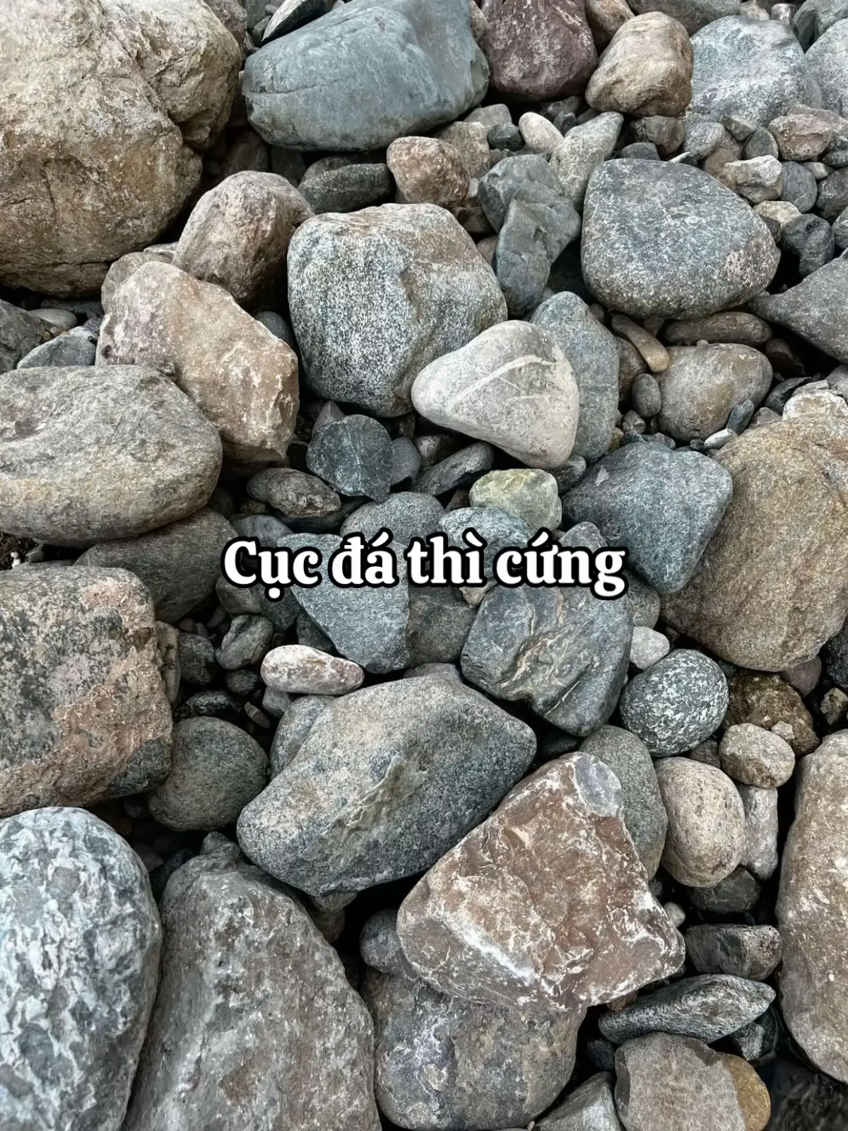 Hot job không yêu cầu kinh nghiệm đây mấy tình iu 🥰#worklife #genzdilam #tuyendung #xuhuong #fyp 