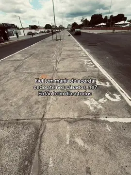 #pietronpgueira #vaiprofycaramba #viral 