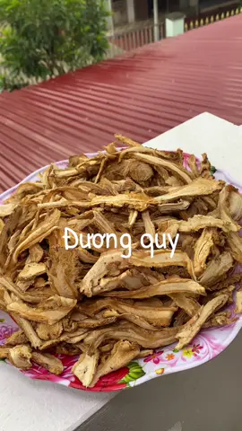 Đương quy #duongquy #amthuc #xuhuong 