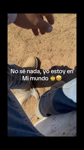 #rancho #parati #viral #fyp 