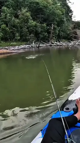 #fishing #viral #mancing #fyp 