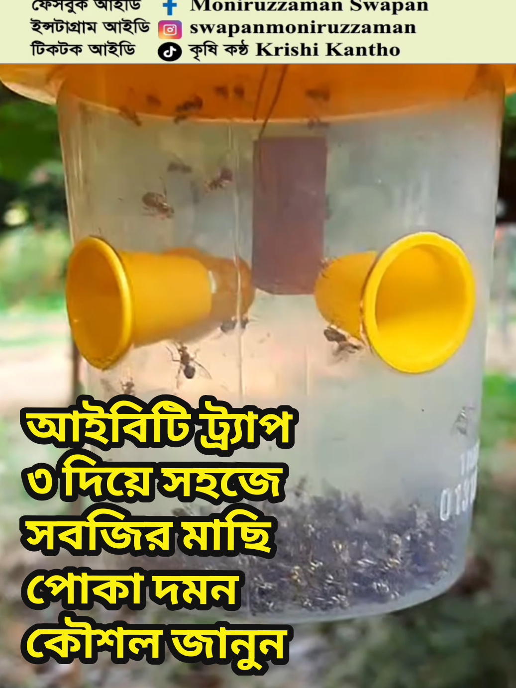 #মাছি_পোকা_দমনে_কার্যকরী_আইবিটি_ট্র্যাপ৩_আবিষ্কার_সাদা_কীড়া_হতে_রক্ষা_প #how_to_kill_fruitfly_with_ibt_trap_3 #viraltiktok #foryou 
