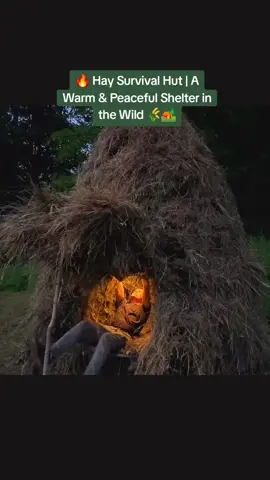 Built a survival hut from hay and wood in the heart of nature 🌲🔥 At night it turns into a warm and peaceful shelter, glowing like a lantern in the wild 🌙✨ 👉 Don’t forget to follow for more survival & bushcraft adventures! 💚🌍 #shelter #nature #survival #bushcraft #camping  