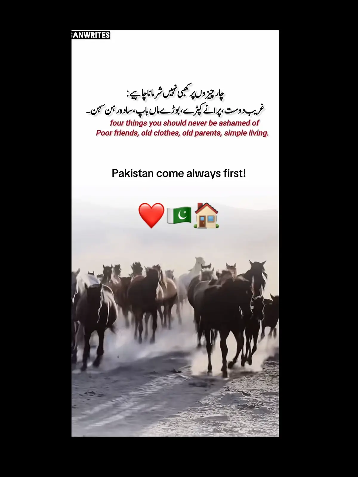 🕊️🕊️🕊️🕊️