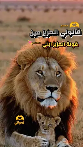 #مشاهدات #قالولي #العزيز #مين #انا_قولت_الغزيز_ابني 🫶💘