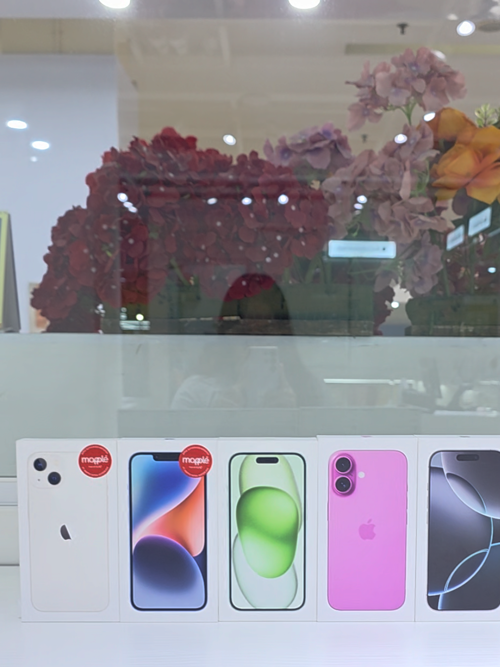 #fyp #iphone #iphone13 #iphone15 #iphone16 