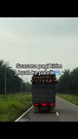 🥶🥶🥶 #trukkalimantan #sawitkalimantan #fyp 