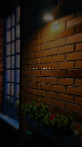 என் ஆசை தாவுது உன் மேலே😌❤️#tamil #Always #tamilsong #Love #Feel #foryoupage #always 