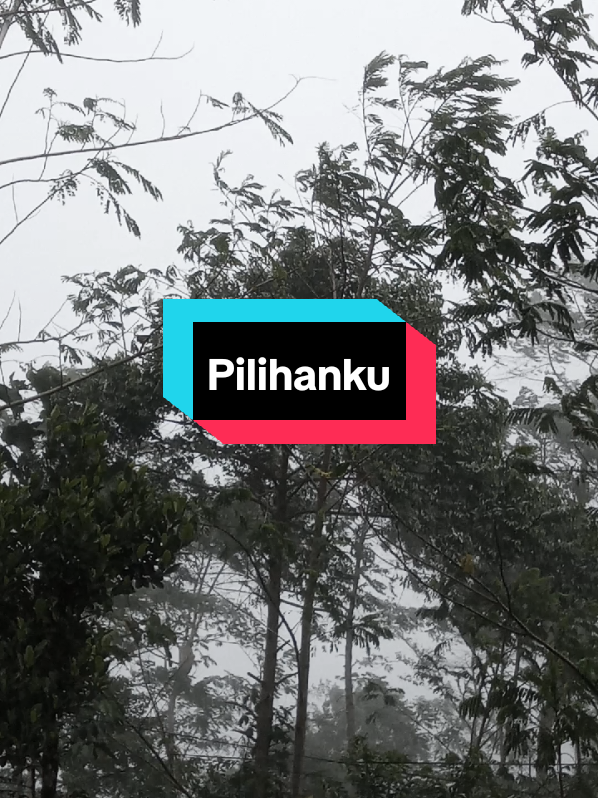 Pulihanku#nasidariasemarang #nasehatislami #alampedesaan #qasidah 