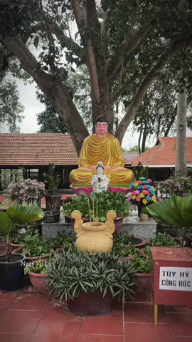 Hôm nay rằm tháng bảy, chùa Long Minh phát gạo miễn phí cho các Cô Chú lớn tuổi có hoàn cảnh khó khăn. Và mời quý Phật tử dùng cơm chay miễn phí.  Cho đi là còn mãi🪷. #phatphap #tuthien #chua #phatphapnhiemmau🙏🙏🙏 #61binhduong 