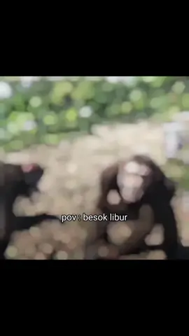 pov:besok libur😆🤣🤣