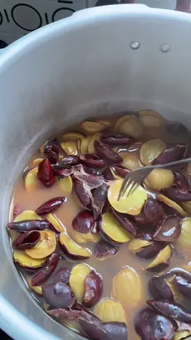 part 2 eksekusi jengkol pakai panci presto #panciprestomaxim #jengkol #fypviralシ 
