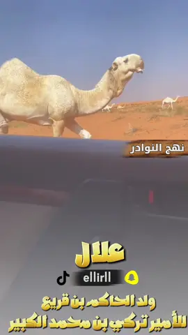 #نهج_النوادر #البل #الصياهد #اكسبلورexplore #البل 