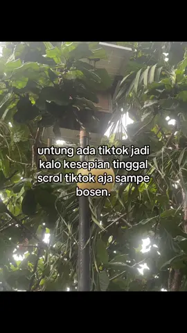 #galaubrutal 