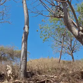 #nttpride🏝🔥 